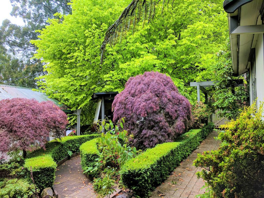 Annie Roes Luxury B&B Bend of Islands Экстерьер фото